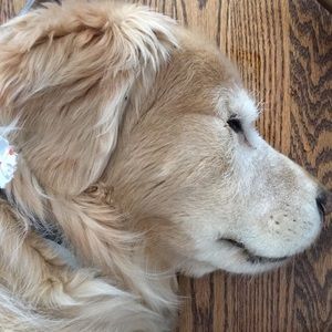 Meet your Posher, Deanna